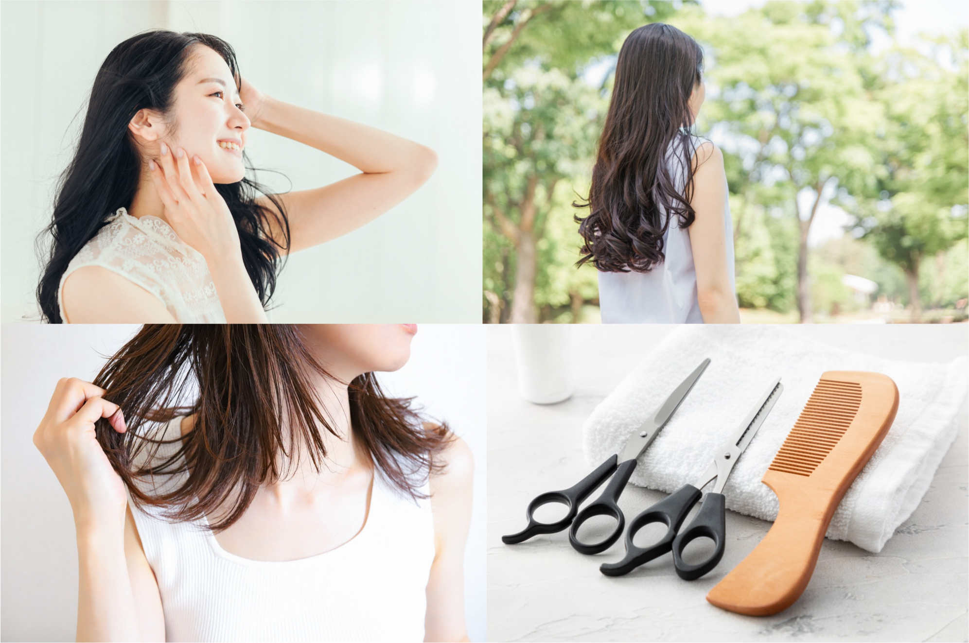 ニューオリオン